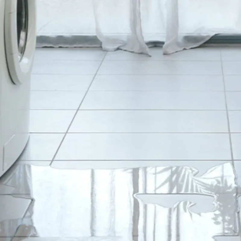 Appliance Leak Cleanup in Shiloh, IL