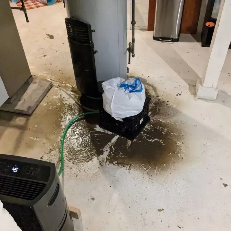 Sewage Backup Cleanup Service in Shiloh, IL